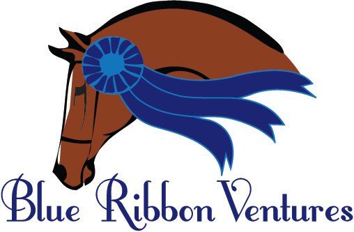 Blue Ribbon Ventures Foundation